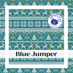 Blue Jumper